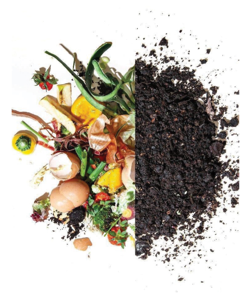 Living Hospitality International Luxury Catering